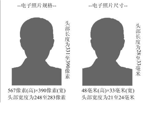 电子照片图像样式